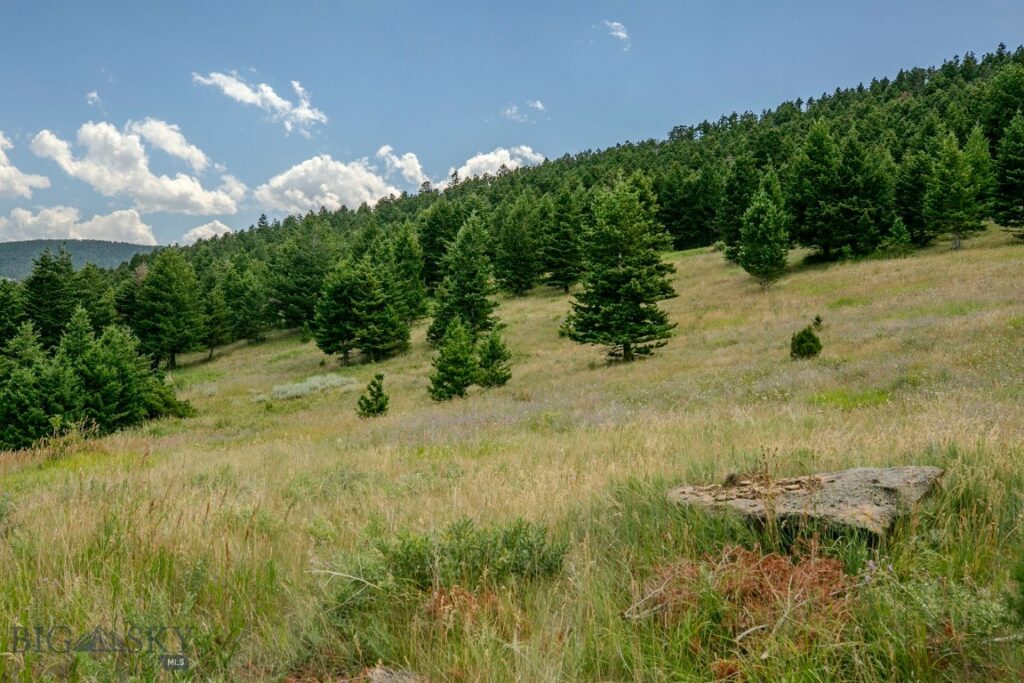 TBD Rainbow Hill Road, Livingston MT 59047