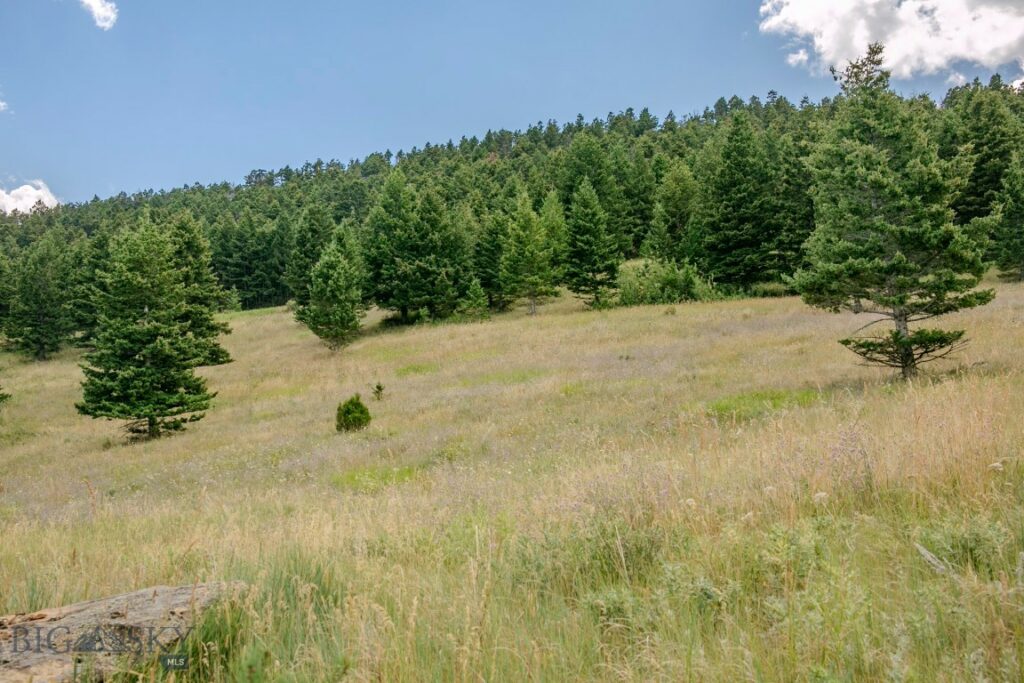 TBD Rainbow Hill Road, Livingston MT 59047
