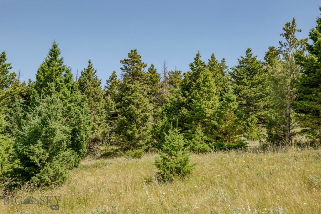 TBD Rainbow Hill Road, Livingston MT 59047