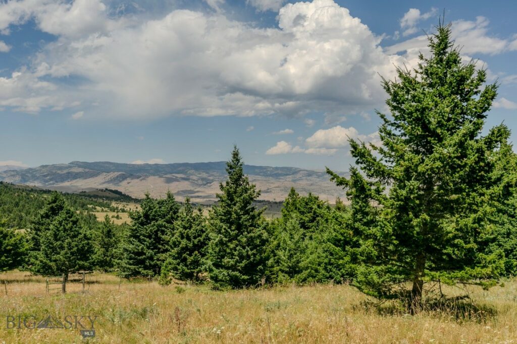 TBD Rainbow Hill Road, Livingston MT 59047