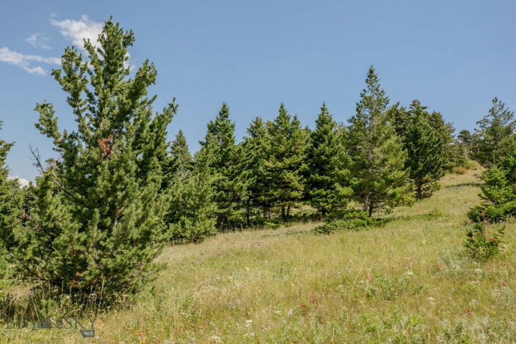 TBD Rainbow Hill Road, Livingston MT 59047