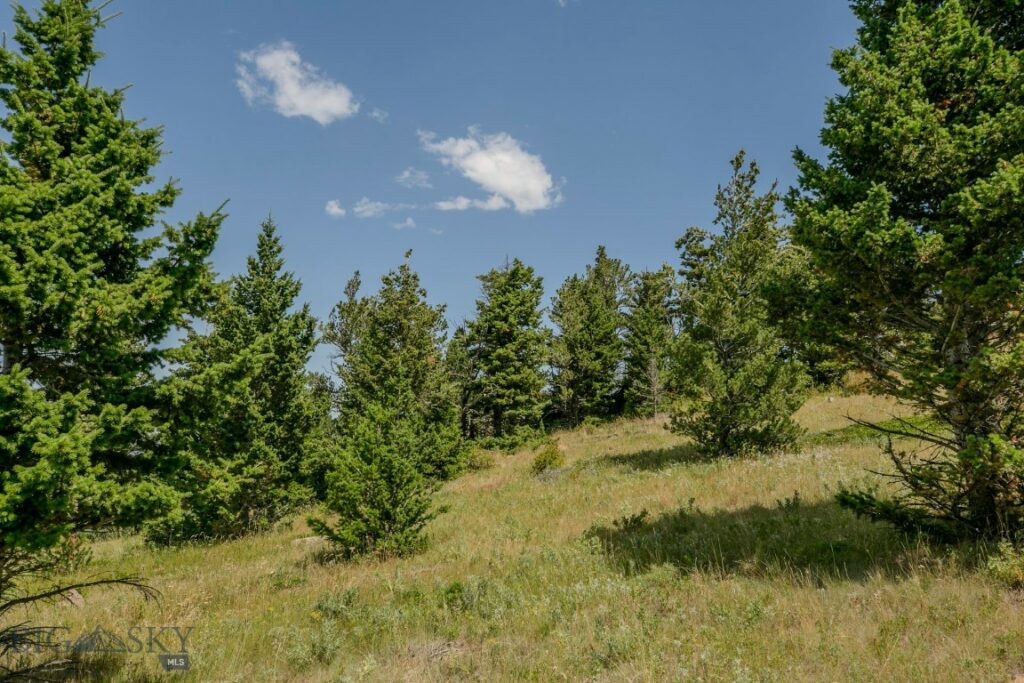 TBD Rainbow Hill Road, Livingston MT 59047