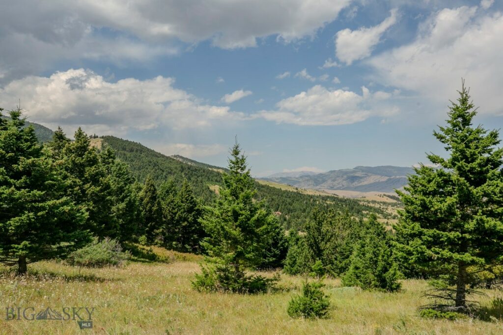 TBD Rainbow Hill Road, Livingston MT 59047