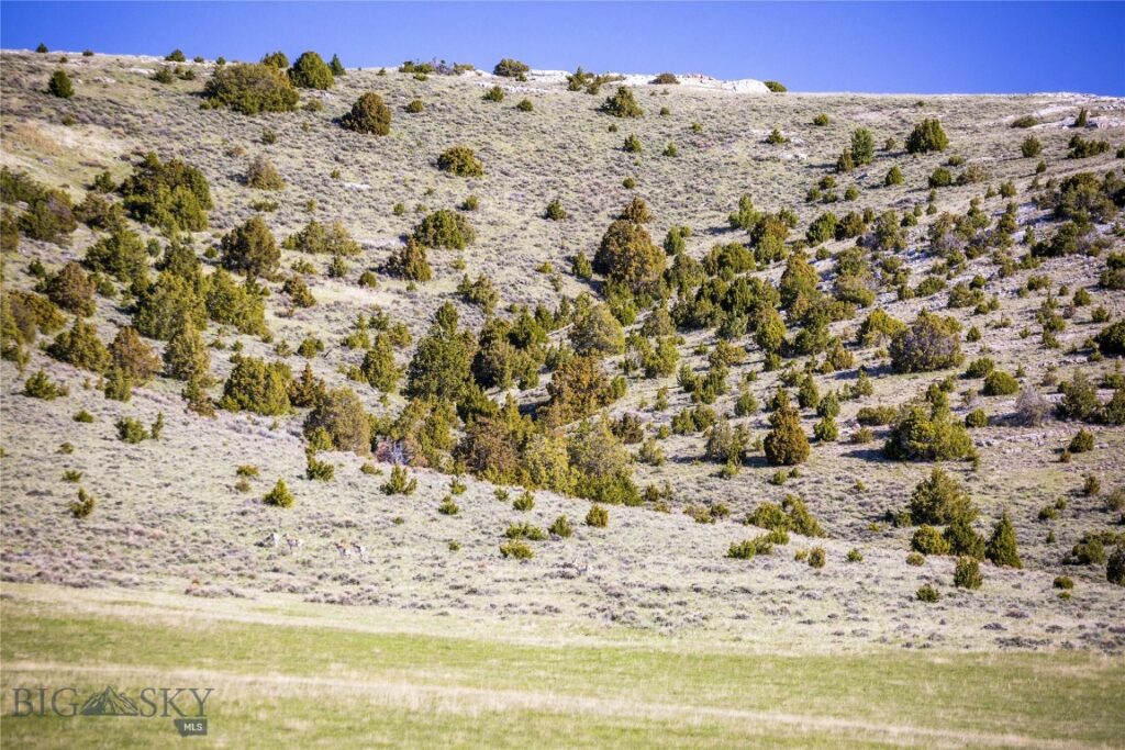 TBD Skinner Road, Belgrade MT 59714