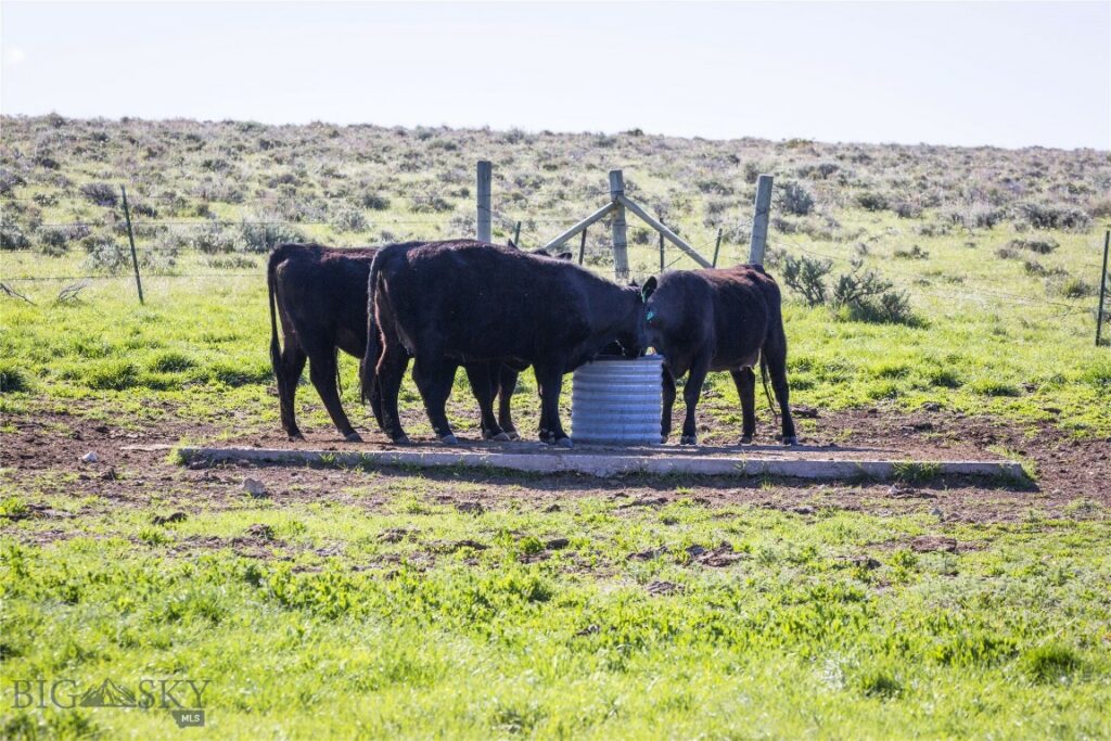 TBD Skinner Road, Belgrade MT 59714