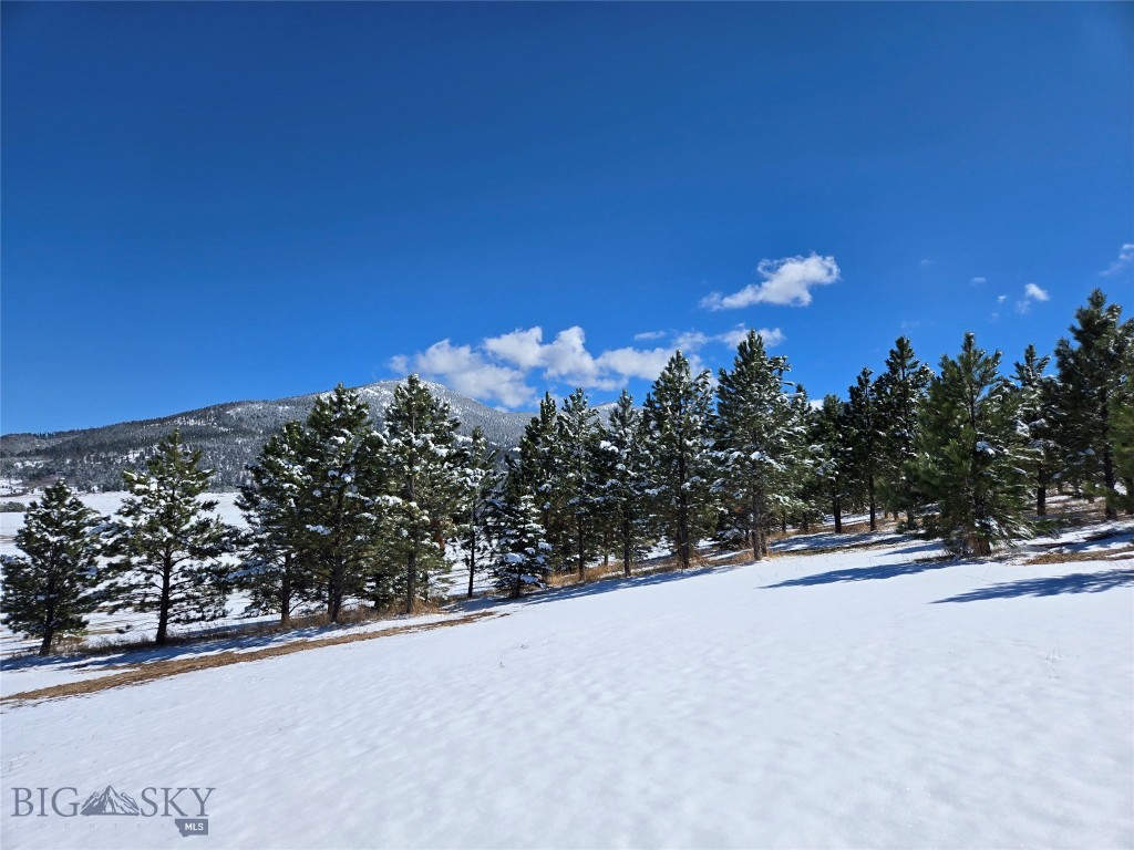 TBD Southview Ridge Lane, Bozeman MT 59715