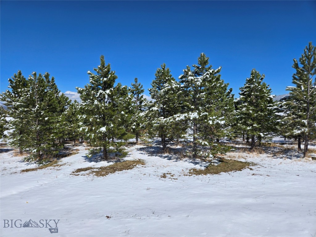 TBD Southview Ridge Lane, Bozeman MT 59715