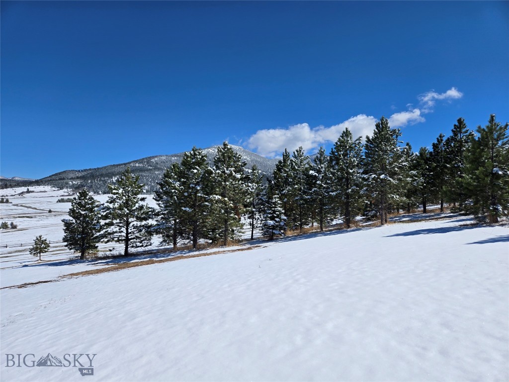 TBD Southview Ridge Lane, Bozeman MT 59715