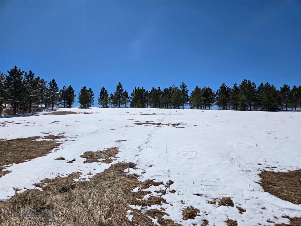 TBD Southview Ridge Lane, Bozeman MT 59715