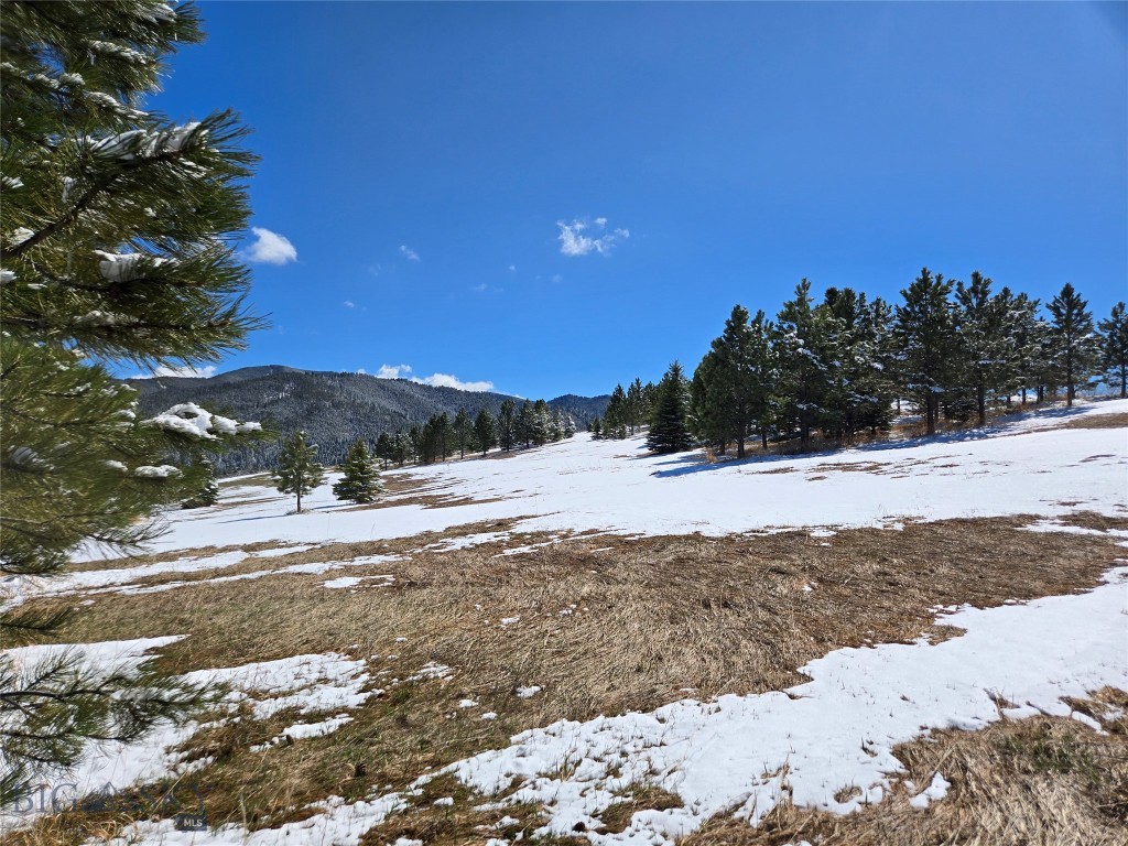 TBD Southview Ridge Lane, Bozeman MT 59715