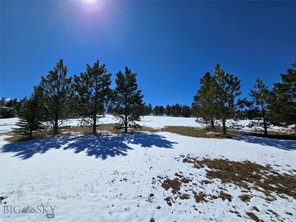 TBD Southview Ridge Lane, Bozeman MT 59715