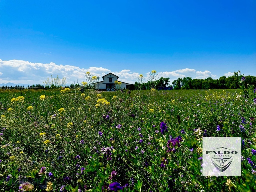 TBD Spain Bridge Road, Belgrade MT 59714