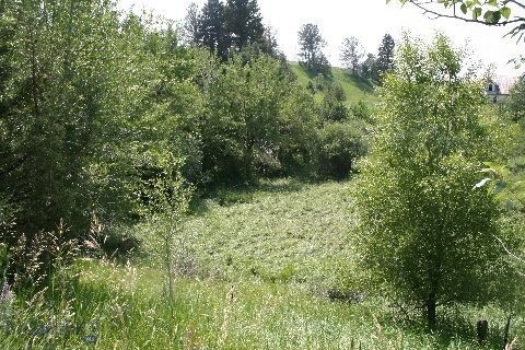 TBD Sunrise Ridge Trail, Bozeman MT 59718