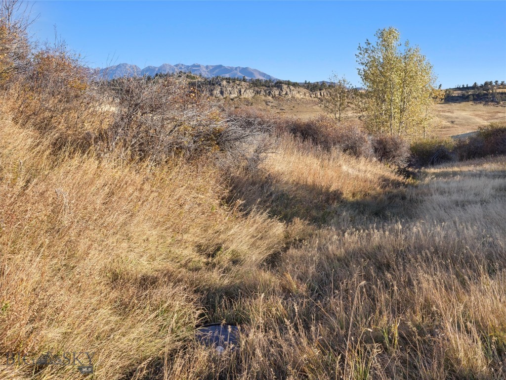TBD Swingley Road, Livingston MT 59047