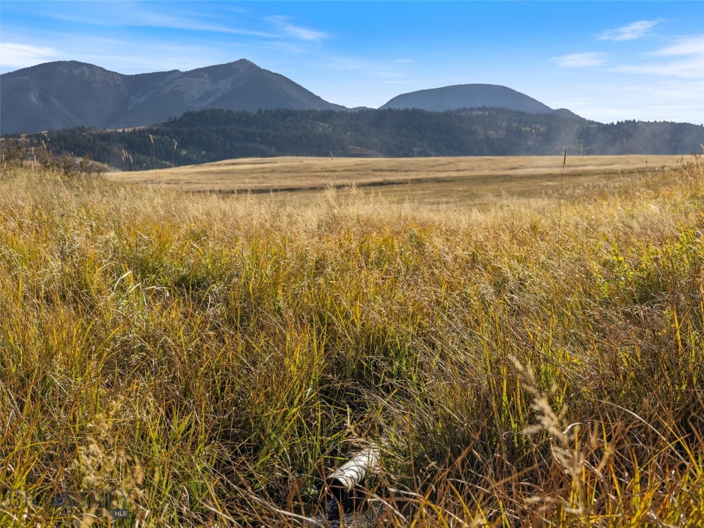 TBD Swingley Road, Livingston MT 59047