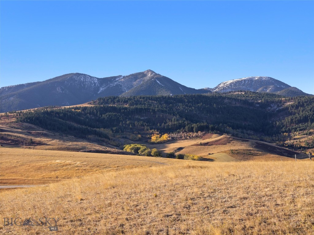 TBD Swingley Road, Livingston MT 59047