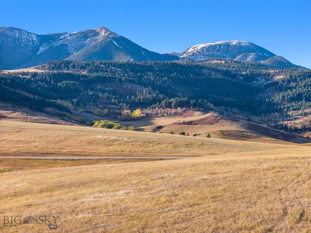 TBD Swingley Road, Livingston MT 59047