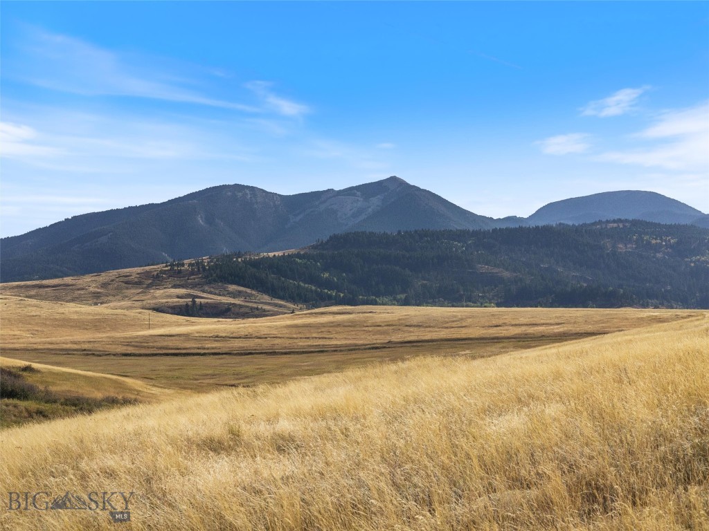 TBD Swingley Road, Livingston MT 59047