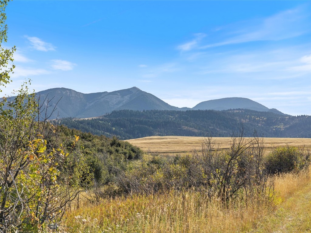 TBD Swingley Road, Livingston MT 59047