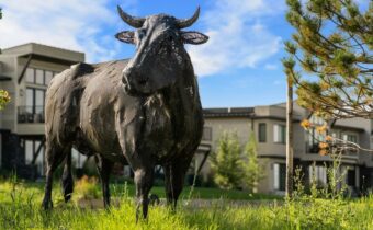 TBD Tillyfour, Bozeman MT 59718