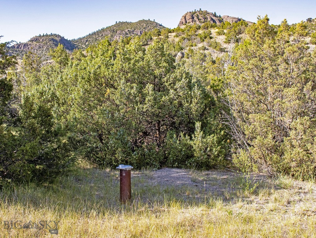 TBD Trail Creek Road, Livingston MT 59047