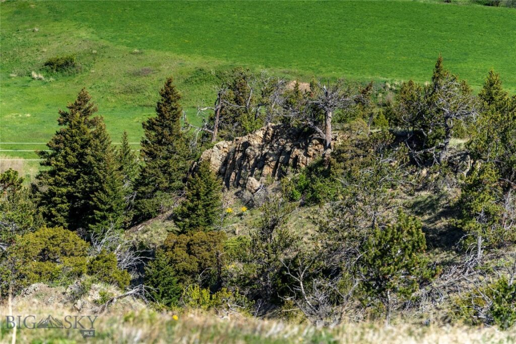TBD US Highway 10 W, Livingston MT 59047