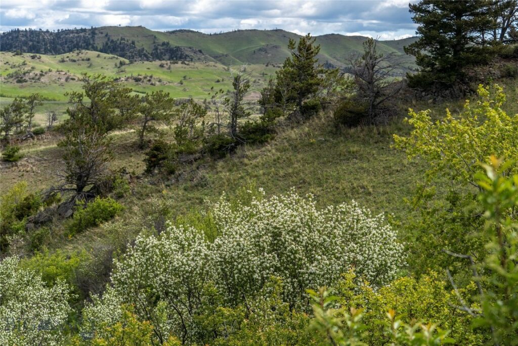 TBD US Highway 10 W, Livingston MT 59047
