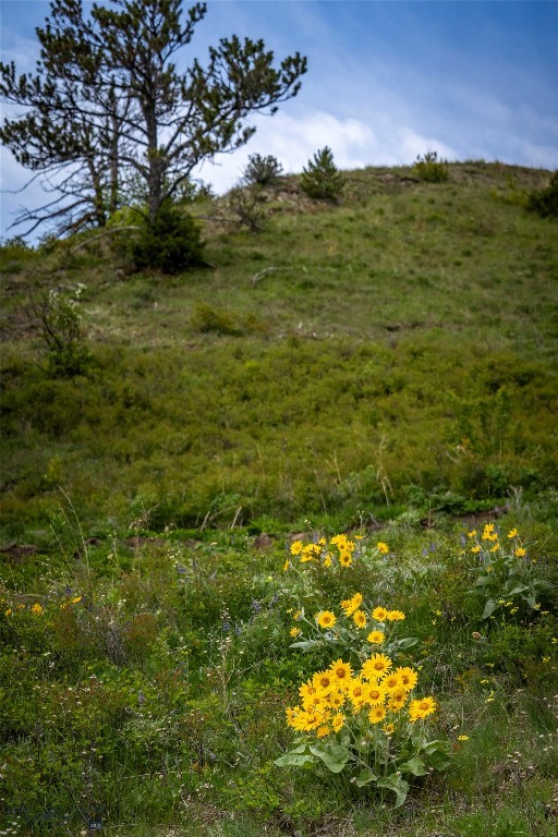 TBD US Highway 10 W, Livingston MT 59047