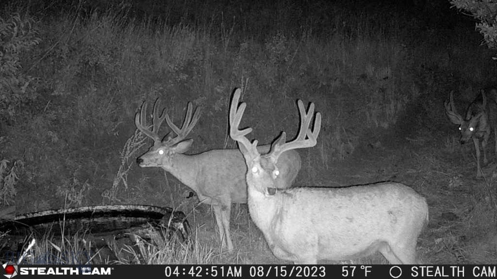TBD US Highway 10 W, Livingston MT 59047