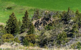 TBD US Highway 10 W, Livingston MT 59047