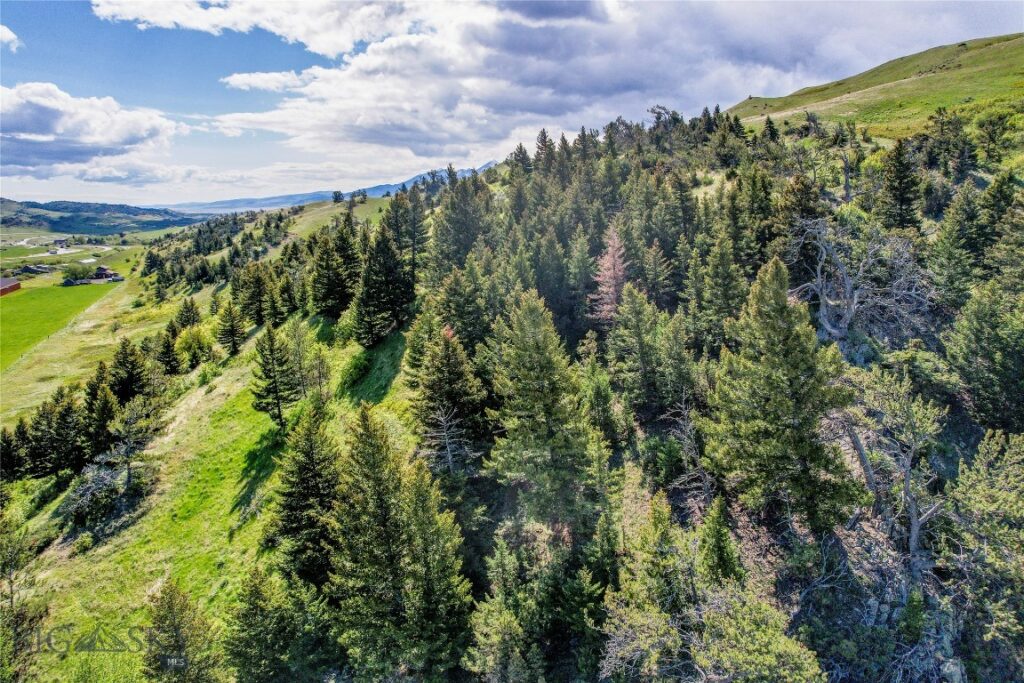 TBD US Highway 10 W, Livingston MT 59047