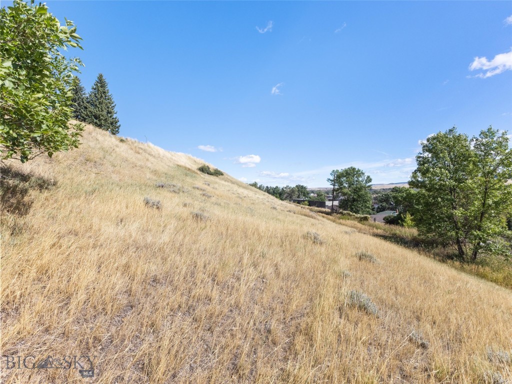 TBD W Gallatin Street, Livingston MT 59047