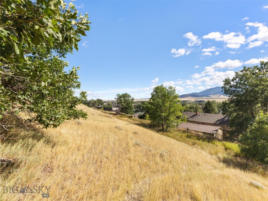 TBD W Gallatin Street, Livingston MT 59047