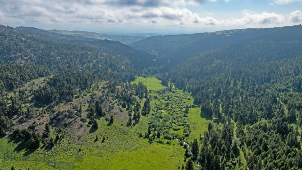 TBD Willow Creek N Fork Road, Livingston MT 59047