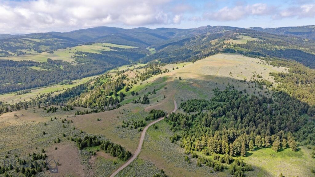 TBD Willow Creek N Fork Road, Livingston MT 59047