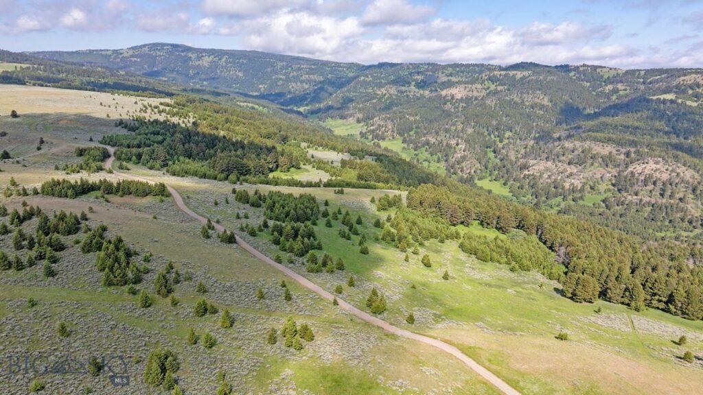 TBD Willow Creek N Fork Road, Livingston MT 59047