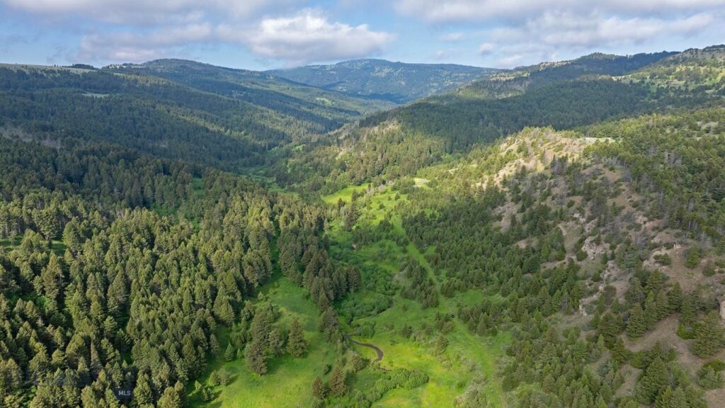 TBD Willow Creek N Fork Road, Livingston MT 59047