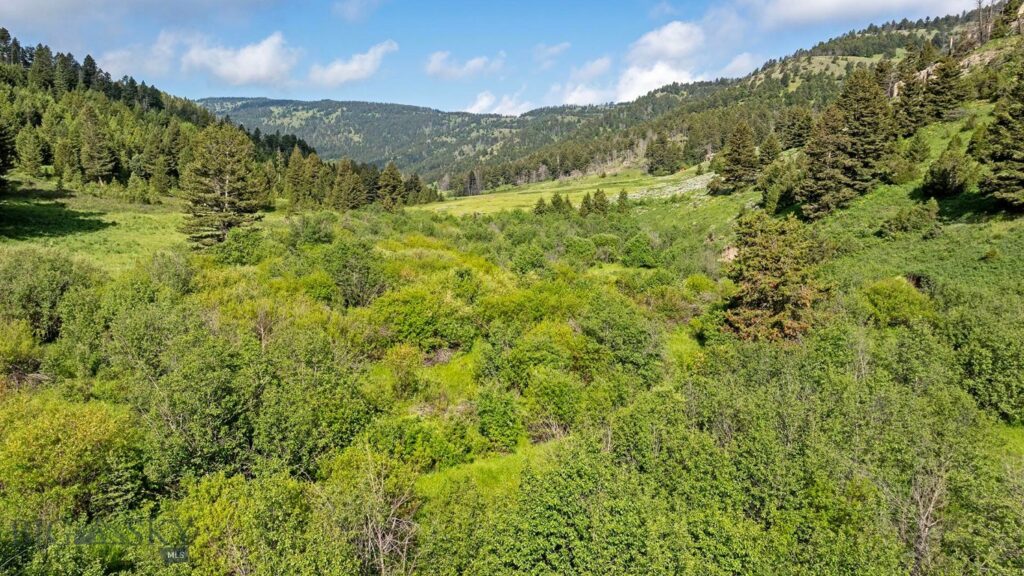 TBD Willow Creek N Fork Road, Livingston MT 59047