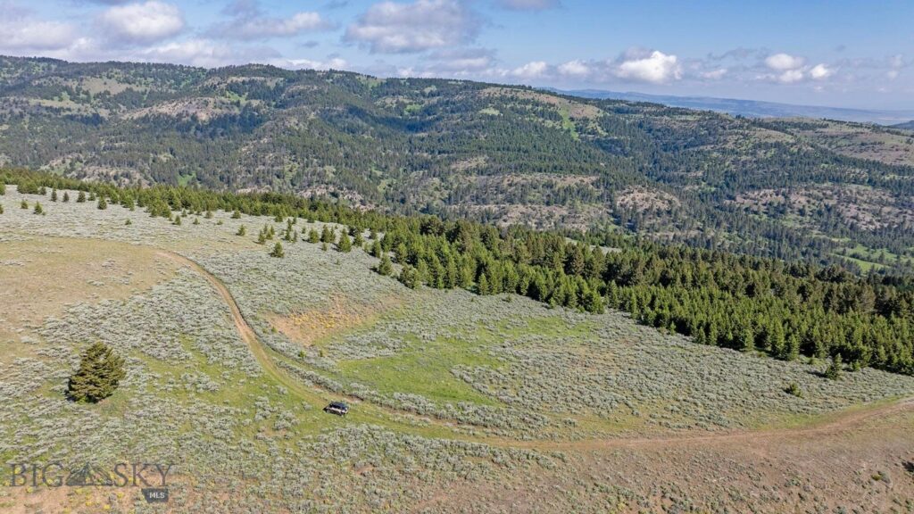 TBD Willow Creek N Fork Road, Livingston MT 59047