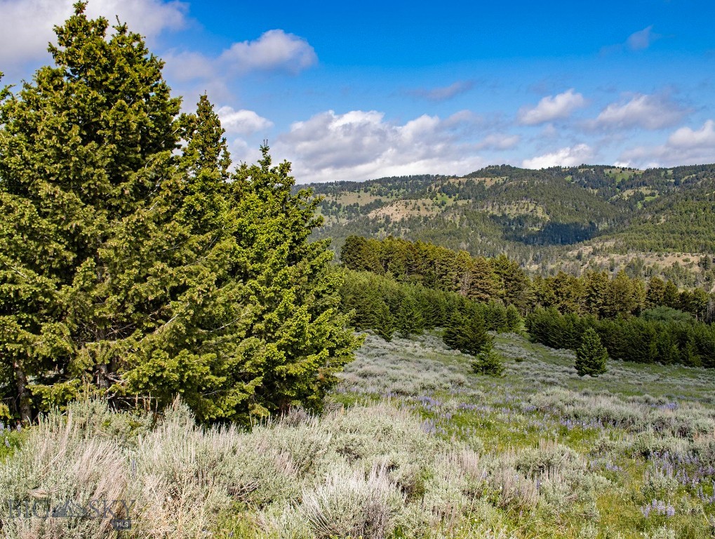TBD Willow Creek N Fork Road, Livingston MT 59047