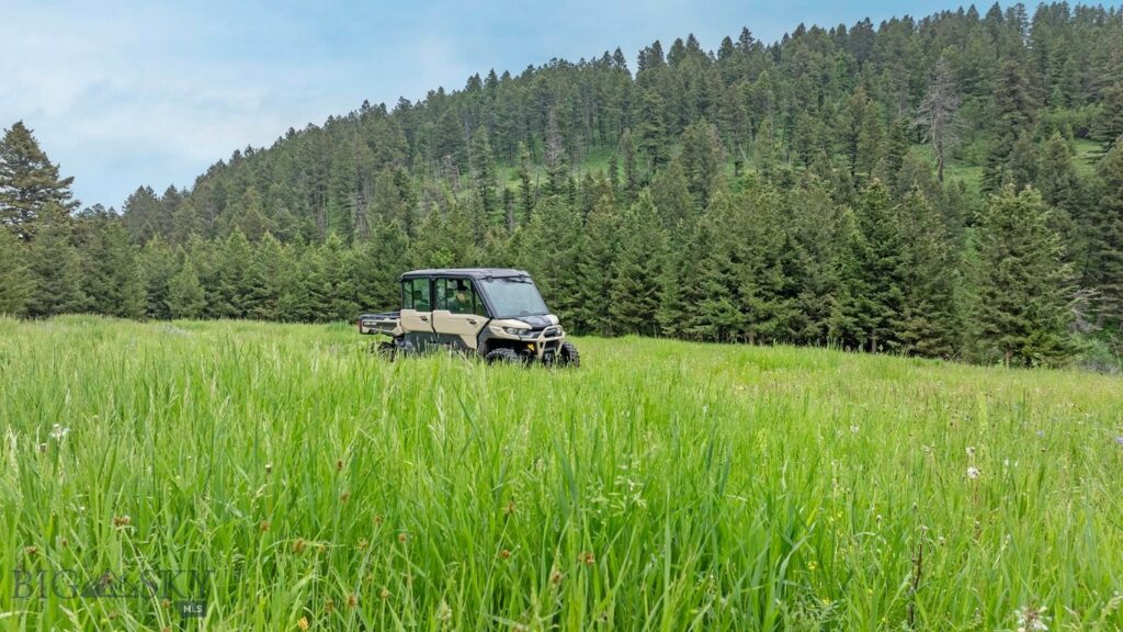 TBD Willow Creek N Fork Road, Livingston MT 59047