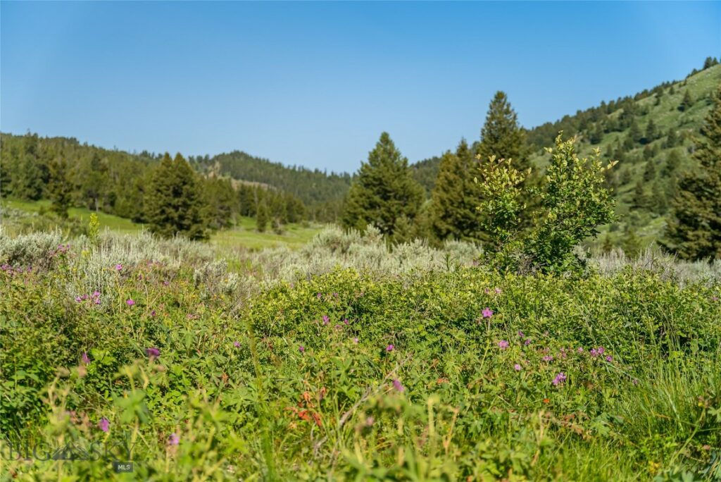 TBD Woodchuck Road, Bozeman MT 59715