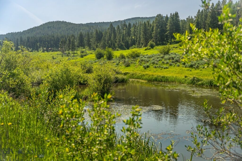 TBD Woodchuck Road, Bozeman MT 59715