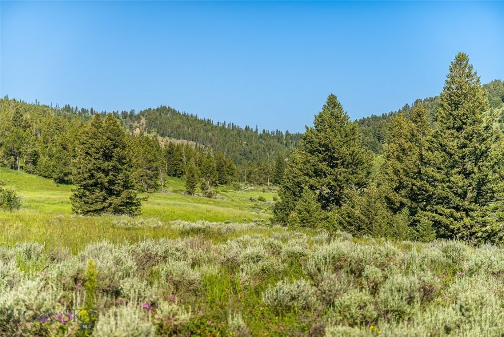 TBD Woodchuck Road, Bozeman MT 59715