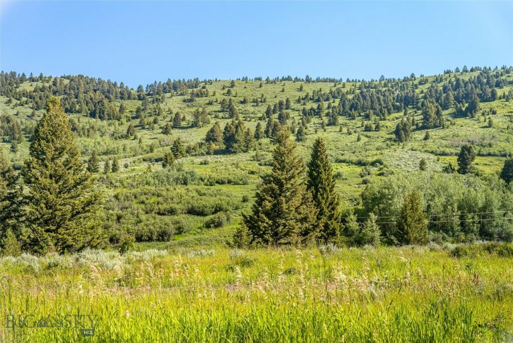 TBD Woodchuck Road, Bozeman MT 59715