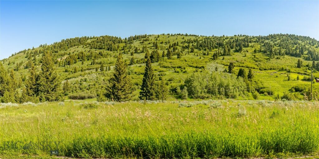 TBD Woodchuck Road, Bozeman MT 59715