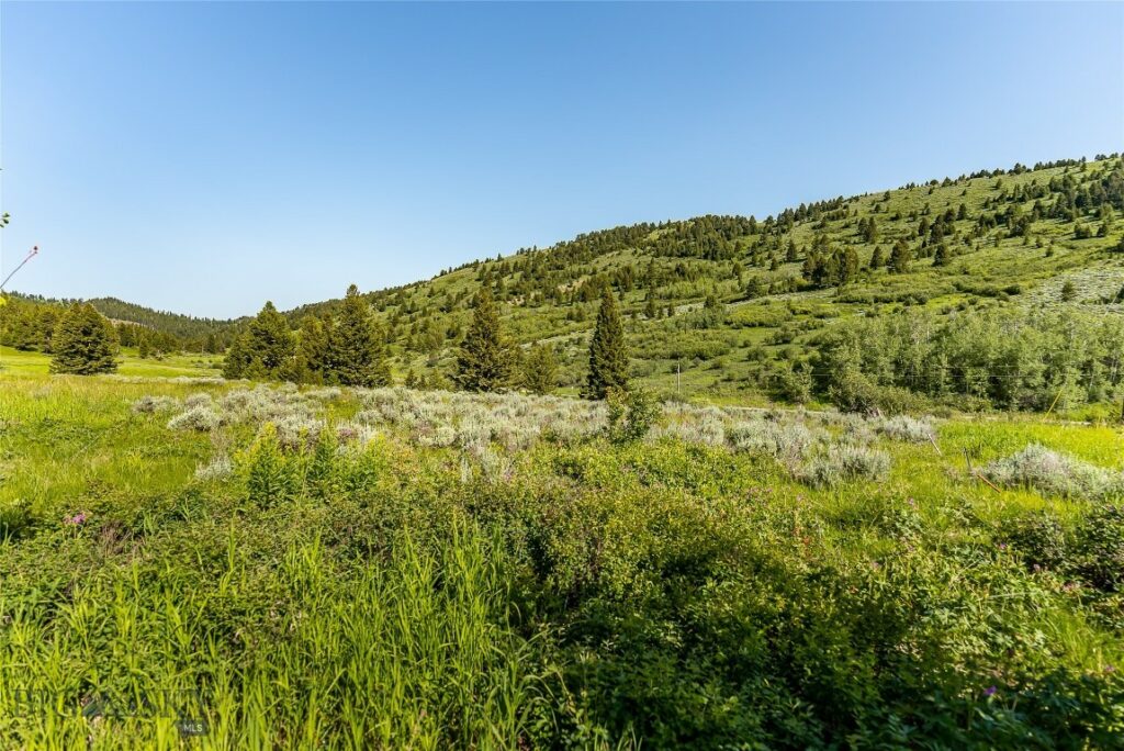 TBD Woodchuck Road, Bozeman MT 59715