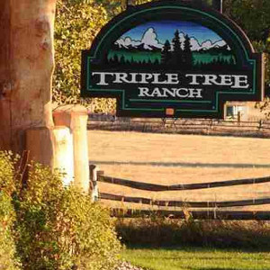 Triple Tree Ranch